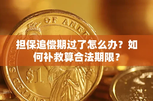 北京担保追偿期过了怎么办？如何补救算合法期限？