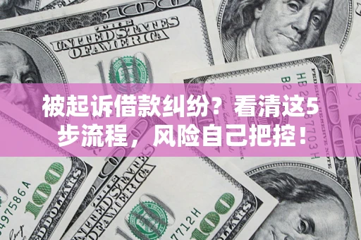 北京被起诉借款纠纷？看清这5步流程，风险自己把控！