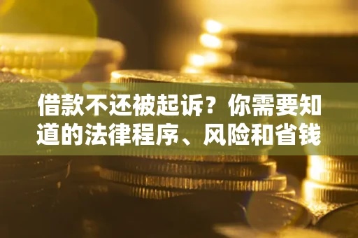 北京借款不还被起诉？你需要知道的法律程序、风险和省钱技巧